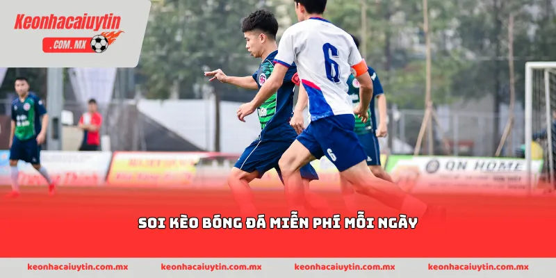 soi kèo bóng đá miễn phí mỗi ngày