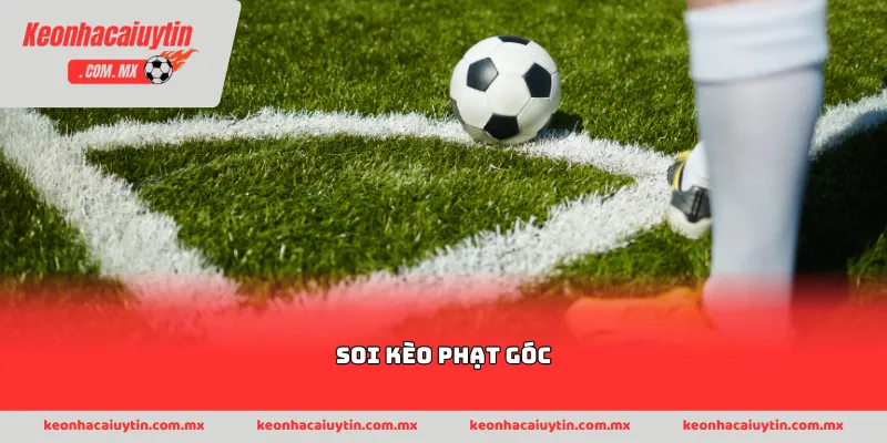 soi kèo phạt góc